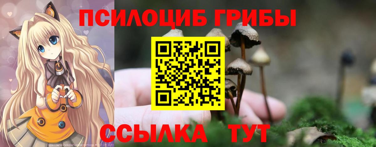 Галлюциногенные грибы MAGIC MUSHROOMS  Псилоцибиновые грибы мухоморы  Вход с VPN  Воронеж 