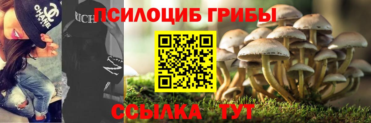 Псилоцибиновые грибы мицелий Воронеж